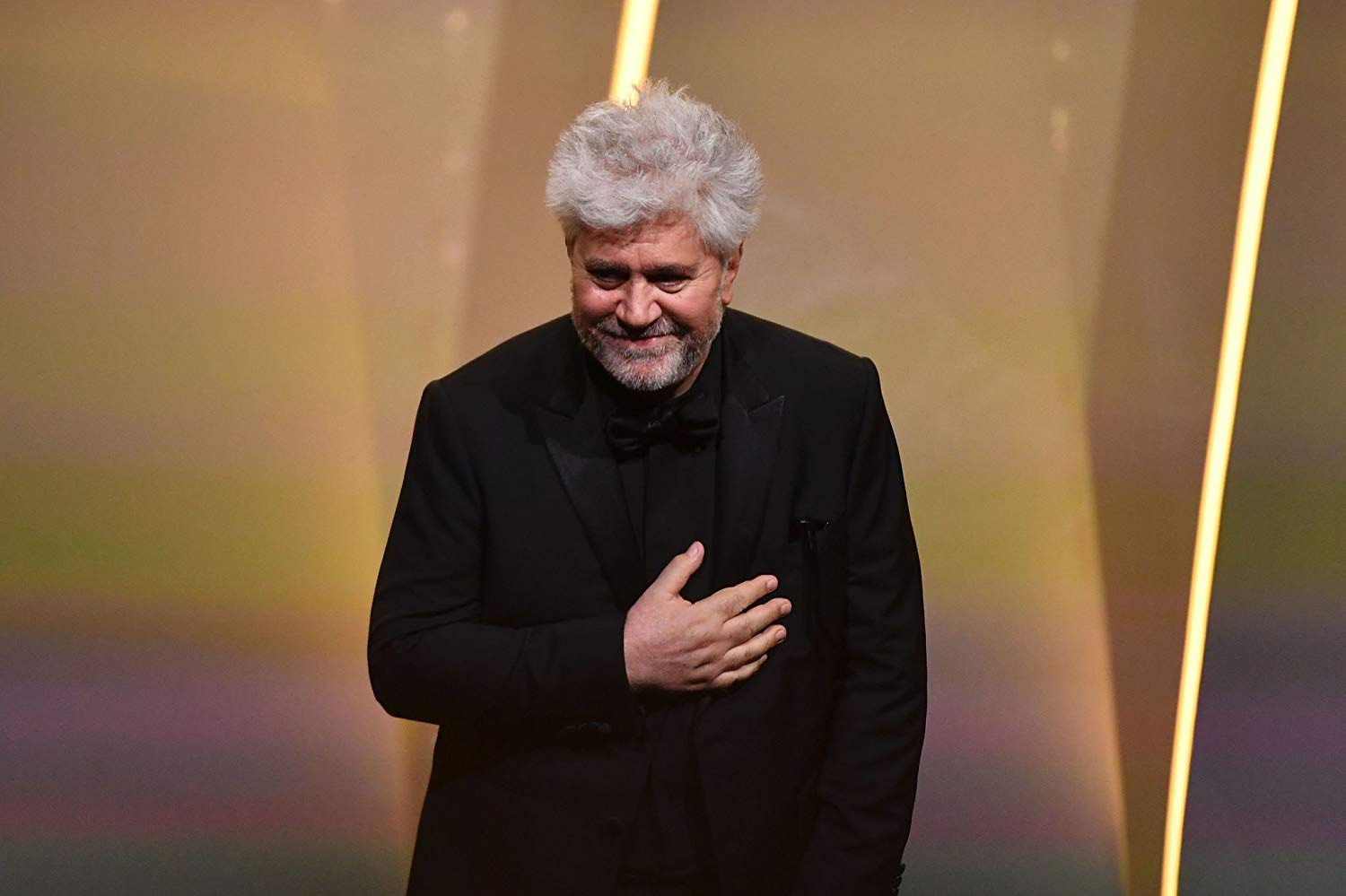 Педро Альмодовару вручат почётного «Золотого льва» на 76-м Венецианском кинофестивале